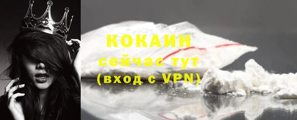 стаф Вяземский