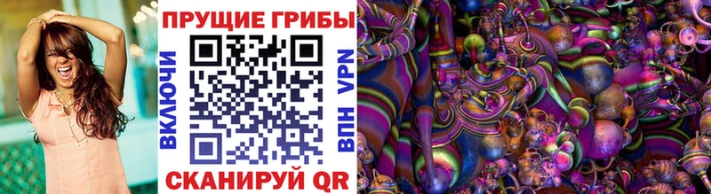 Купить  Туран  Псилоцибиновые грибы Psilocybine cubensis 